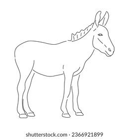 Donkey in doodle style. Icons sketch hand made. Vector editable stroke.