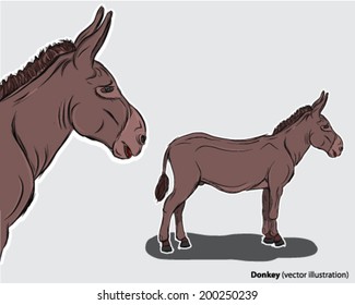 Donkey drawing beast of burden ass mule