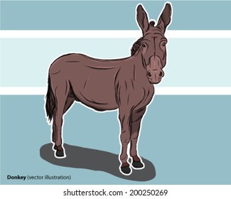Donkey drawing beast of burden ass mule