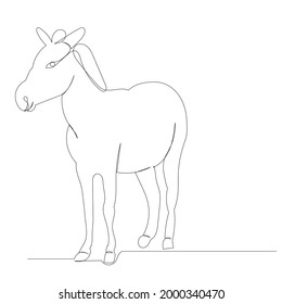 donkey drawing by one continuous line sketch, isolated, vector