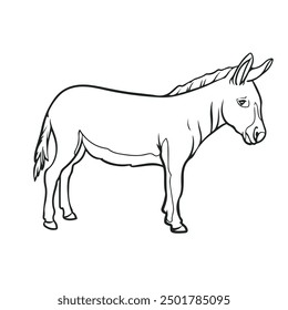 donkey drawing with line art syle. you can give color you want. easy to edit. donkey vector illustrations