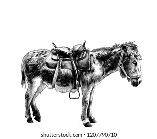 donkey dressed in outfit stands sideways in full-length profile, sketch vector graphic monochrome illustration on white background