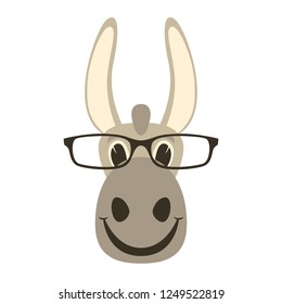 donkey face in glasses, vector illustration front view