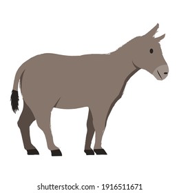 anima de la granja de burros Isolated vector ilustración Cartoon Donkey.
 