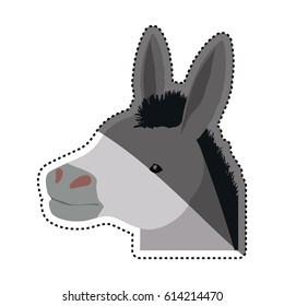 Donkey farm animal