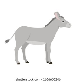 donkey, farm animal. Isolated vector illustration