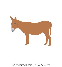 Donkey, Farming Flat Vector Illustration