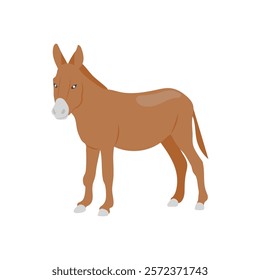 Donkey Flat Icon, Vector illustration