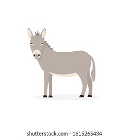 Donkey flat vector cartoon illustration isolated white background.