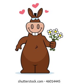 Donkey Flowers