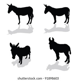 donkey four animal black silhouette on white background