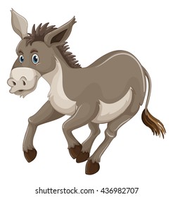 Donkey with gray fur illustration