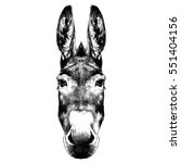 donkey head black and white sketch on a white background vector