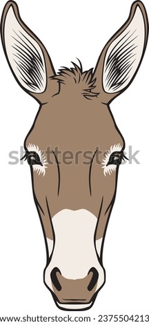 Donkey Head Color. Vector Illustration. 