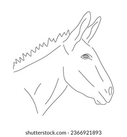 Donkey head illustration in hand drawn design. Vector editable stroke.