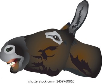 Donkey head vector. Vector drawing donkey head