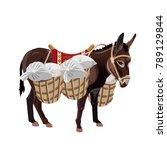 Donkey with a heavy load. Vector illustration isolated on the white background
