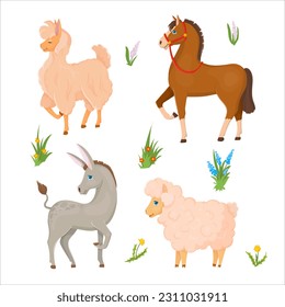 Donkey, Pferd, Llama oder Alpaca, Schafe. Set von Tieren. Nutztiere. Viehzucht Vektorgrafik einzeln auf weißem Hintergrund.