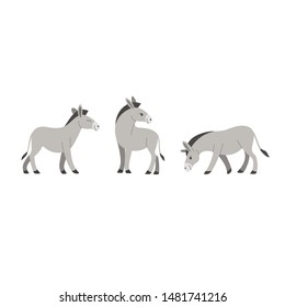 Donkey icon set. Different type of donkey. Vector illustration for prints, clothing, packaging, stickers, stickers.