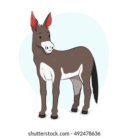 Donkey Illustration
