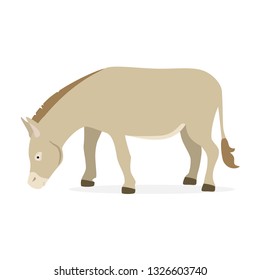 Donkey isolated on white background. Farm animal
