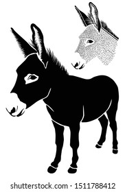 Donkey. Isolated on white background. Head of agricultural animal. Front view picture. Illustrations of cute farm animal. Abstract drawing of animal of livestock. Logo. Icon. Sketch. Sticker. - Vector