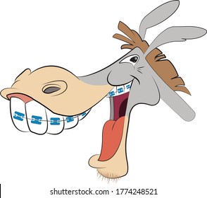 El burro se ríe y pone el cable dental