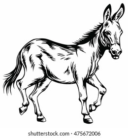 Donkey Logo Stylized Drawing Illustration Vector Art