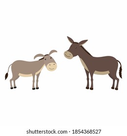 Donkey and mule, differences. Vector illustration isolated.