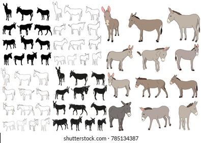 Donkey, Mule, Outline, Collection Of Silhouettes