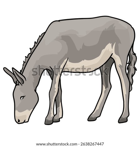 donkey or mule with separate white background