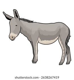 donkey mule vector with separate white background