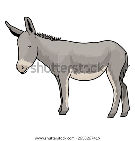 donkey mule vector with separate white background