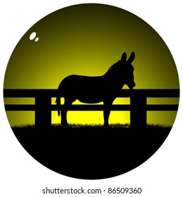 donkey on field