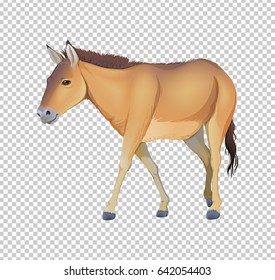 Donkey on transparent background illustration