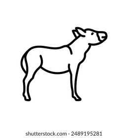 Donkey Outline Icon, Vector illustration