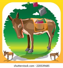 A donkey with a packsaddle