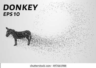 Donkey of the particles. The donkey is made up of little circles.