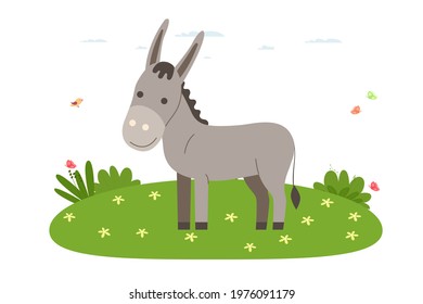 Donkey. Pet, domestic and farm animal. Donkey is walking on the lawn. Vector illustration in cartoon flat style.