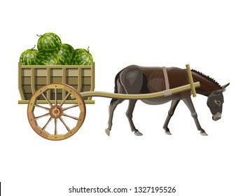 Donkey pull a wooden cart with watermelons. Vector illustration isolated on white background