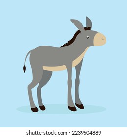 Donkey raised its head up, side view