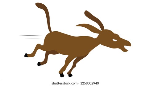 donkey running very fast quick