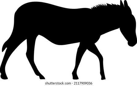 silueta de burro, sobre fondo blanco, vector