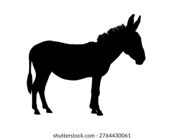 Donkey silhouette, side view , vector illustraton	