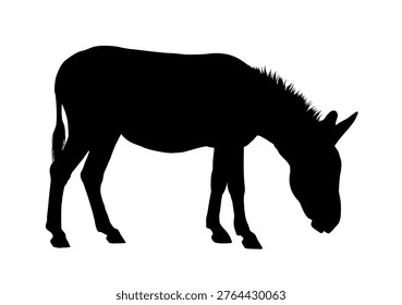 Donkey silhouette, side view , vector illustraton	