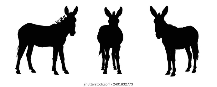 Donkey Silhouette. Donkey Vector Illustration.