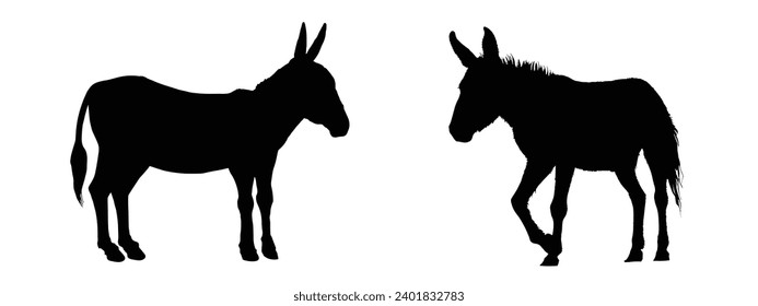 Donkey Silhouette. Donkey Vector Illustration.