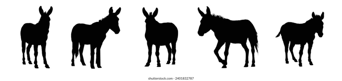 Silhouette de burro. Ilustración del vector del burro.
