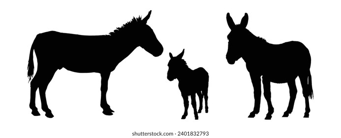 Silhouette de burro. Ilustración del vector del burro.