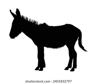 Donkey Silhouette. Donkey Vector Illustration.